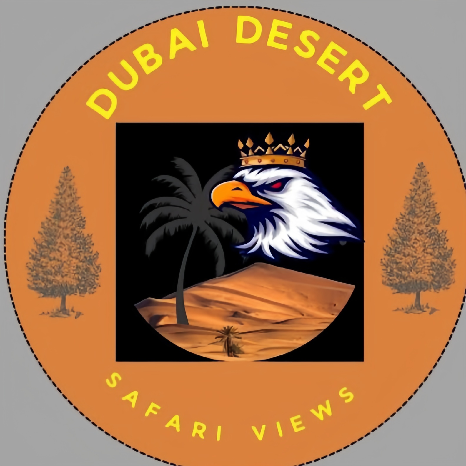dubaidesertsafariviews